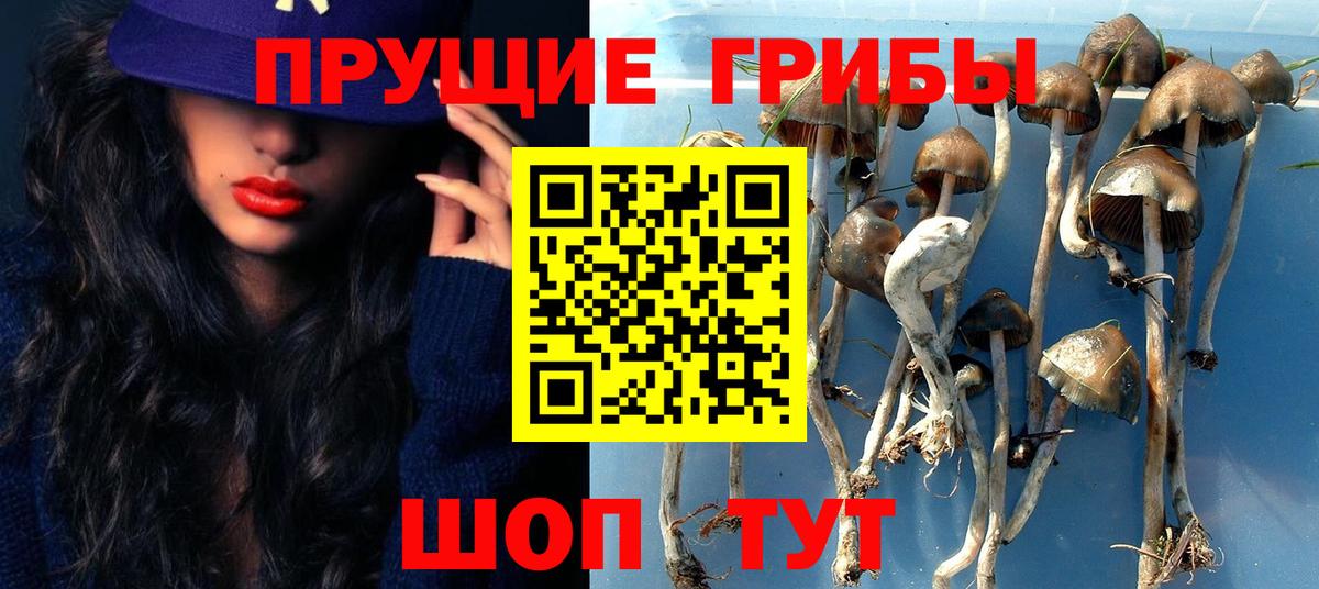 Галлюциногенные грибы ЛСД  Вход с VPN  Галлюциногенные грибы Cubensis  Людиново 
